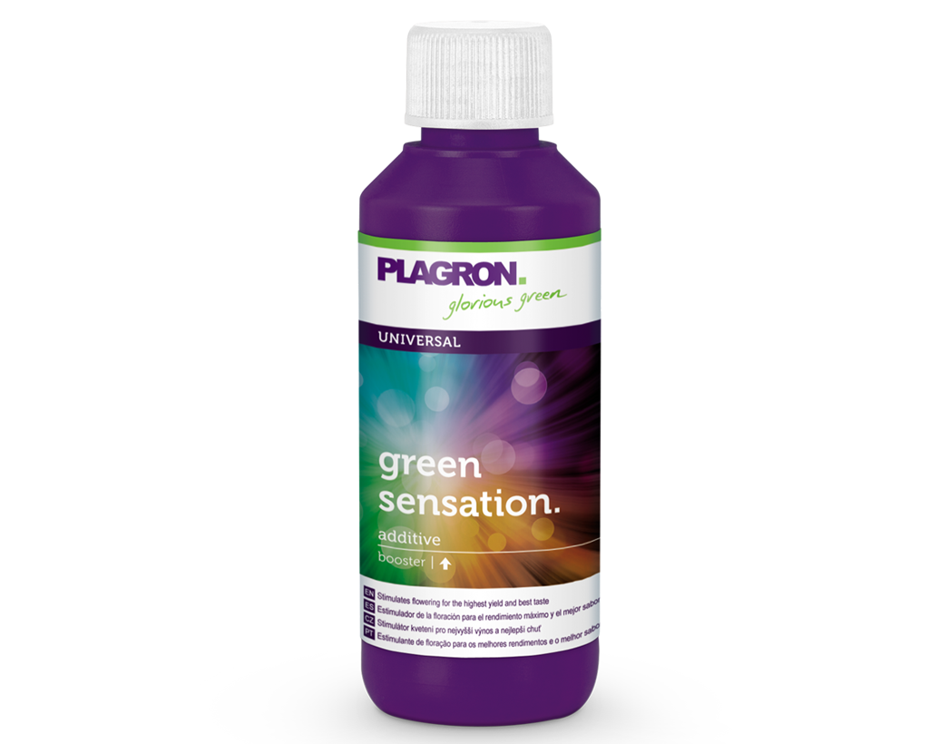 Стимулятор цвітіння Plagron Green Sensation 100 ml