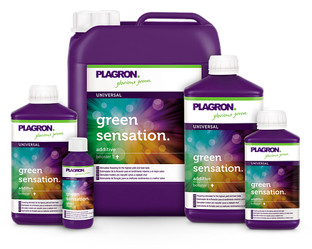 Стимулятор цвітіння Plagron Green Sensation 100 ml, фото 2