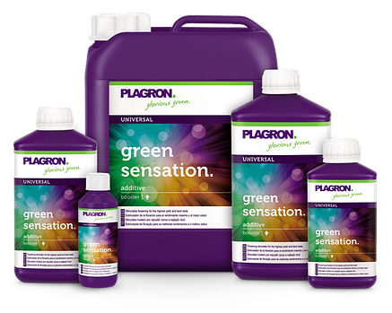 Стимулятор цвітіння Plagron Green Sensation 100 ml, фото 3