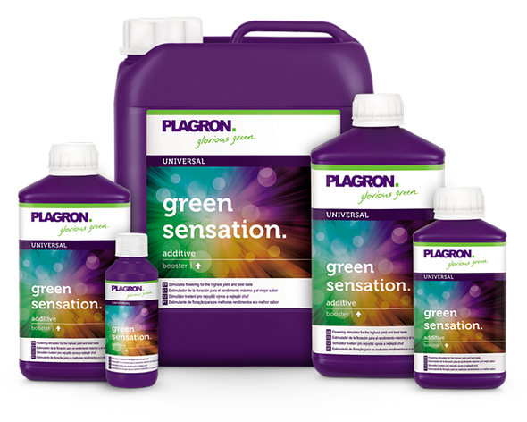 Стимулятор цвітіння Plagron Green Sensation 5 L, фото 1