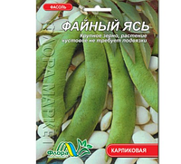 Насіння Квасоля кущова Файний Ясь карликова 10 г великий пакет