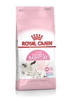 Royal Canin Mother and Babycat корм для беременных, кормящих кошек и котят до 4 месяцев, 400 г