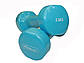 Гантель вініл EVROTOP 2,5 кг (2шт) SS-LKDB-505-2,5 (Гантель вініл EVROTOP 2,5 кг (2шт) SS-LKDB-505-2,5), фото 3