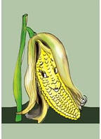 Маска Кукурудза