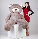 Великий плюшевий ведмедик Yarokuz Річард 200 см Капучіно подарунок, фото 4