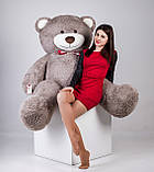 Великий плюшевий ведмедик Yarokuz Річард 200 см Капучіно подарунок, фото 5