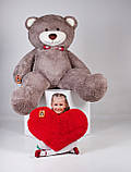 Великий плюшевий ведмедик з серцем Yarokuz Річард 200 см Капучіно подарунок, фото 3