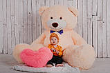 Великий плюшевий ведмедик Yarokuz Річард 200 см Персиковий подарунок, фото 5