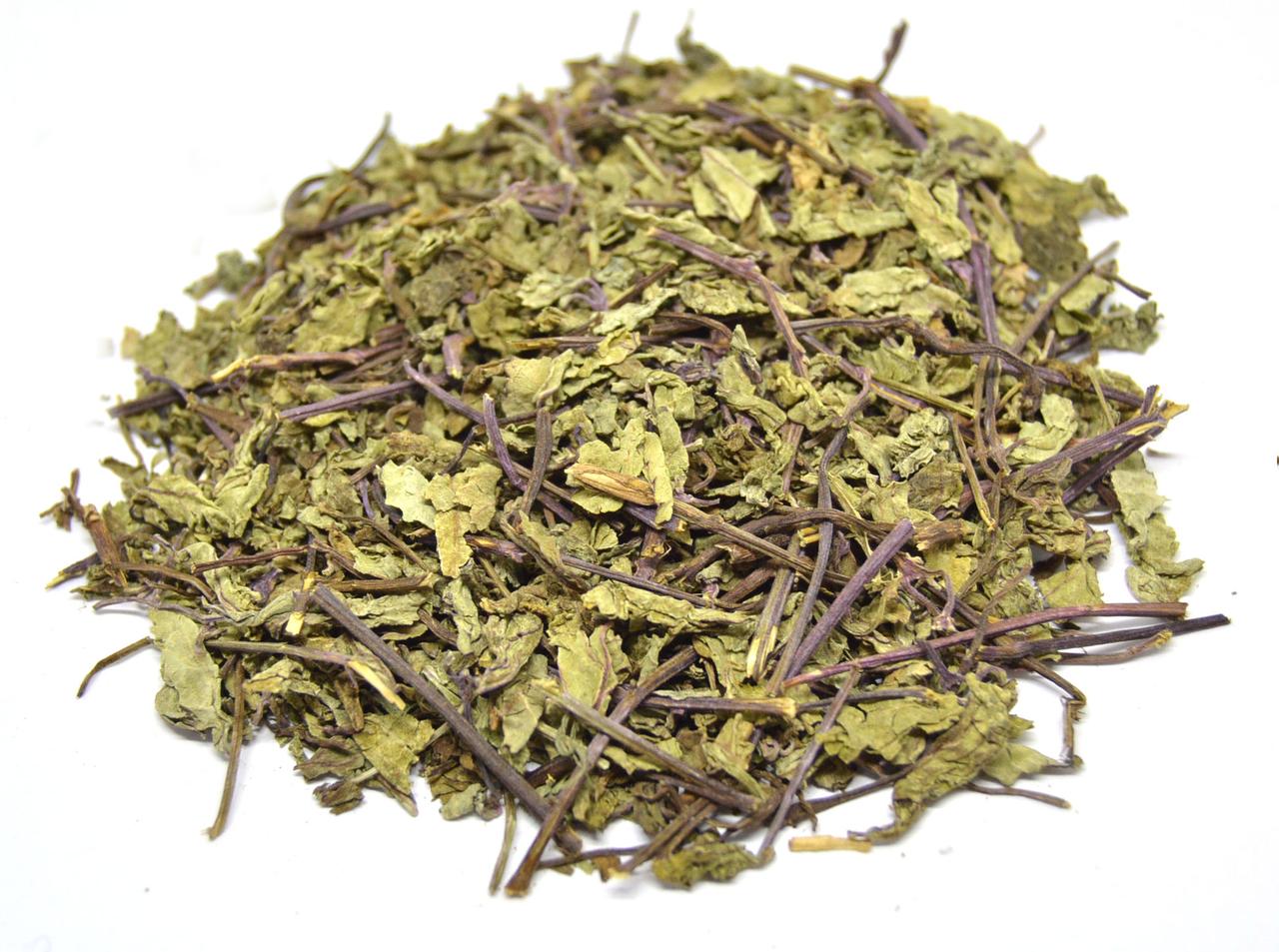 Ортосифон трава