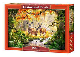 Пазл 1000 ел. "Castorland" (Польща) / Королівська родина