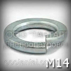 Шайба 14 DIN 127 (ГОСТ 6402-70) пружинна оцинкована, фото 1