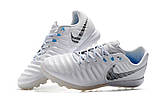 Сороконіжки Nike Tiempo Lunar Legend VII Pro TF white, фото 4