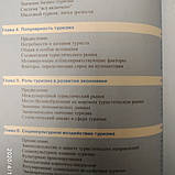 Туристичний бізнес Дж..Крістофер Холловей Нейл Тейлор 7 видання, фото 6