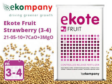 Добриво Ekote Fruit Strawberry 21-05-10+7CaO+3MgO (3-4 місяці), Екоте для суниці, полуниці та ягідних культур, 25 кг
