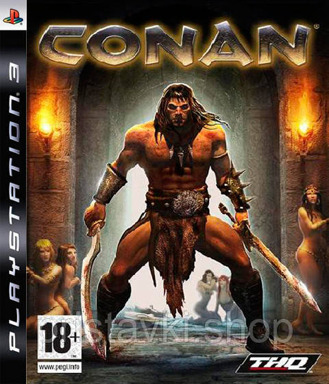 Conan PS3, фото 1