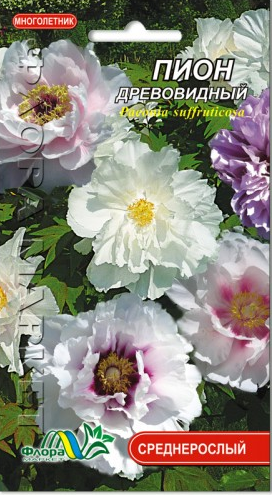 Семена Пион древовидный смесь разные цвета многолетник среднерослый 3 ...