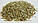 Душиця звичайна, трава материнки 50 грамів — (Origanum vulgare), фото 3