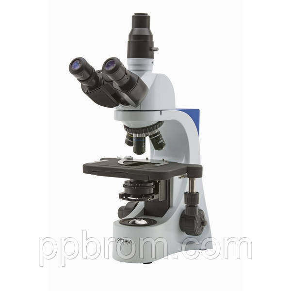 Мікроскоп Optika B-383PLi 40x-1000x Trino Infinity, фото 1
