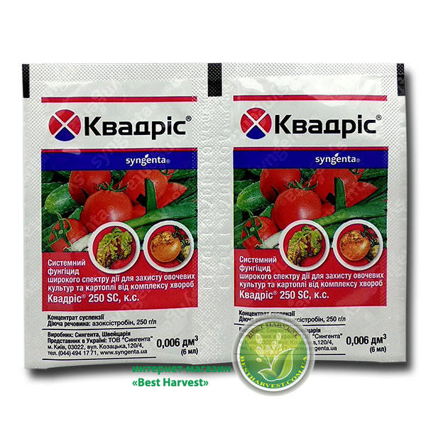 Түрмеде жалап жатқан порно видео