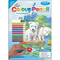 Набор для рисования карандашами по номерам Royal Brush Щенки (CPBNK-8)