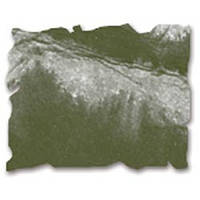 Дистрессинговые чернила Ranger Distress Ink Pad Forest Moss (27133)