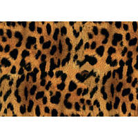 Папір для декупажу Шкура леопарда (KR-B8152)