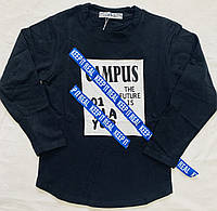 Реглан для хлопчика, Угорщина, Active Sport, рр 146- 164, арт. 6756