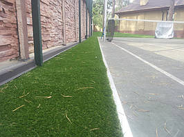 декративная трава на приусадебном участке