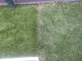 искуственная трава на садовом участке