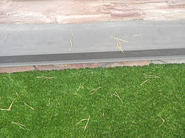 декоративная трава в саду