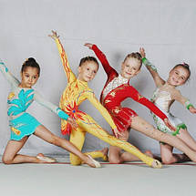 Гімнаптика