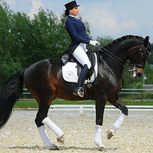 Конний спорт і верхова їзда