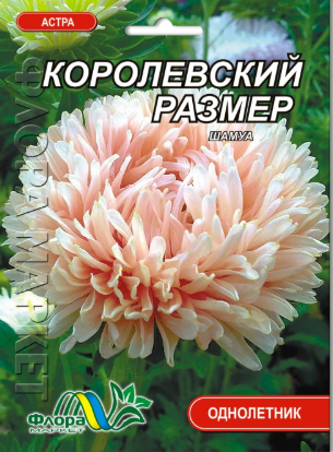Насіння Айстра Королівський розмір півонієподібна шамуа кремовий 0,3 г великий пакет