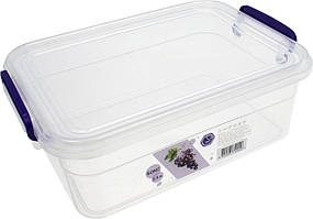 Контейнер для харч. прод. пласт. 2500мл з ручками 17,5х25х9см №NP-53/0440(47)
