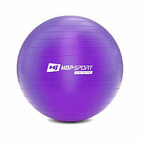 Фитбол мяч для фитнеса + насос Hop-Sport 65cm HS-R065YB фиолетовый