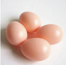 Заготівка пластикове яйце міні 3 см набір 8 шт.