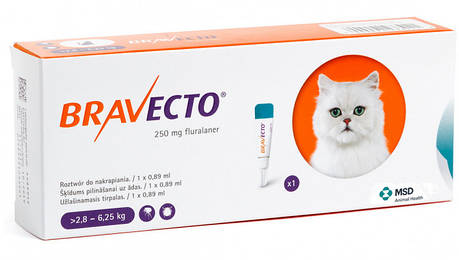 Краплі Bravecto Spot On від бліх та кліщів для кішок 2.8 - 6.25 кг, фото 1