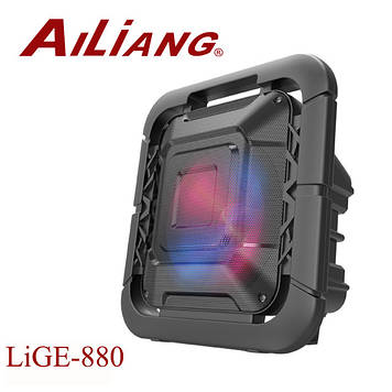 Акустична система Ailiang LiGE-880