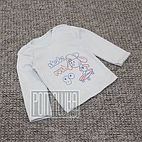 Дитяча кофточка р 68 3-5 міс футболка з довгим рукавом трикотажний світшот джемпер на хлопчика 6058 Блакитний