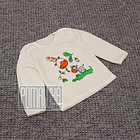 Дитяча кофточка р 74 5-7 міс футболка з довгим рукавом трикотажний світшот джемпер для дівчинки 6058 Бежевий