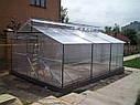 Теплиця Мітлайдер 4х6 стандарт 10 мм, фото 8
