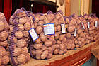 Змінної Картопля Рудольф (середньонева), 2,5 кг, фото 7