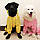 Дощовик для великих собак «Сіті», жовтий, плащ для собак, одяг для собак середніх та великих порід, фото 9
