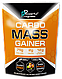 Гейнер Powerful Progress Carbo Mass Gainer 4000g, фото 2