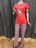 Піжама жіноча футболка штани Pierre Cardin Туреччина, фото 5