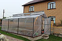 Теплиця Мітлайдер 4х6 стандарт 10 мм, фото 5