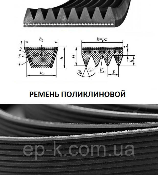 Ремінь полікліновий