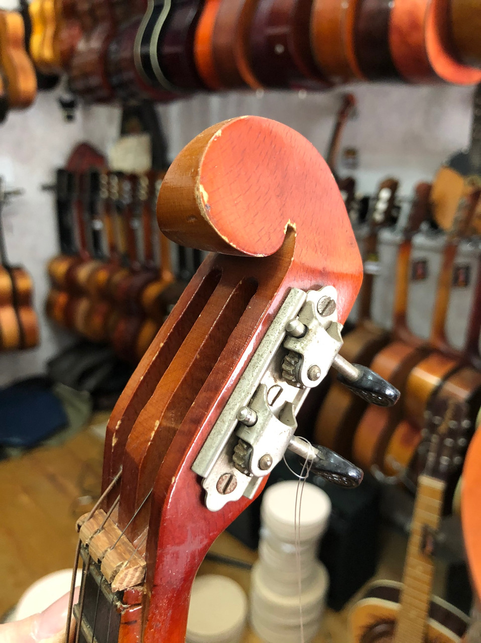 (3213) Домра Пикало 4-х струнная, цена 2995 грн — Prom.ua (ID#1164920000)