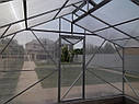 Теплиця Мітлайдер 4х6 преміум 10 мм, фото 7