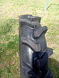 Колесо 6.00-12 у складі до мотоблока 10PR Casumina, фото 7